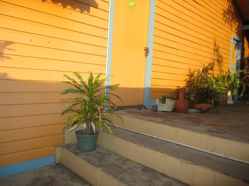 Hotel Flemming Tree Providencia Island Buitenkant foto