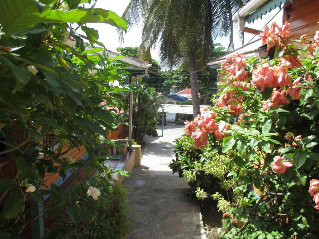 Hotel Flemming Tree Providencia Island Buitenkant foto