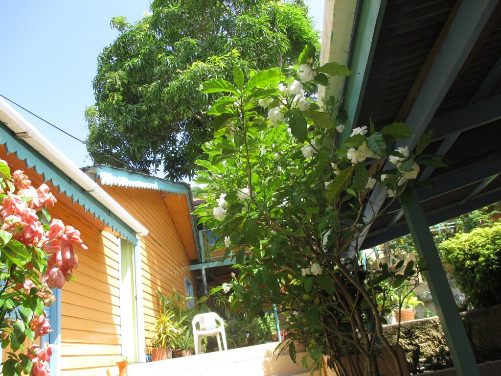 Hotel Flemming Tree Providencia Island Buitenkant foto