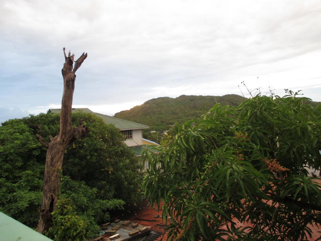 Hotel Flemming Tree Providencia Island Buitenkant foto