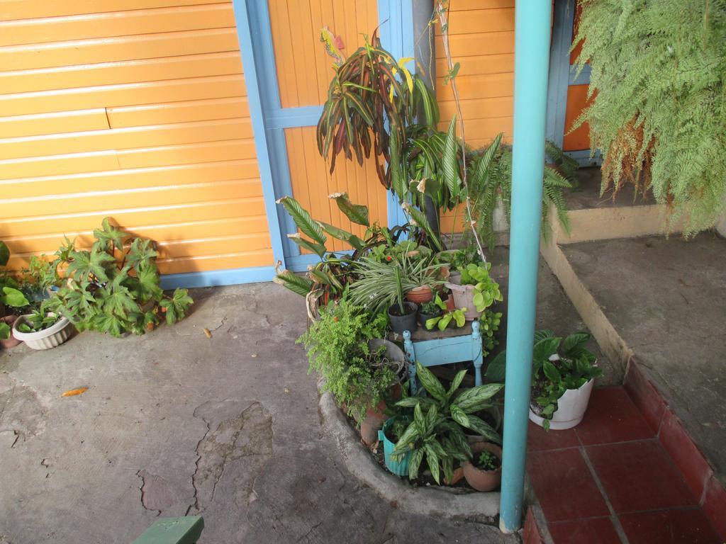Hotel Flemming Tree Providencia Island Buitenkant foto
