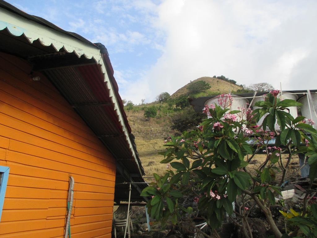 Hotel Flemming Tree Providencia Island Buitenkant foto