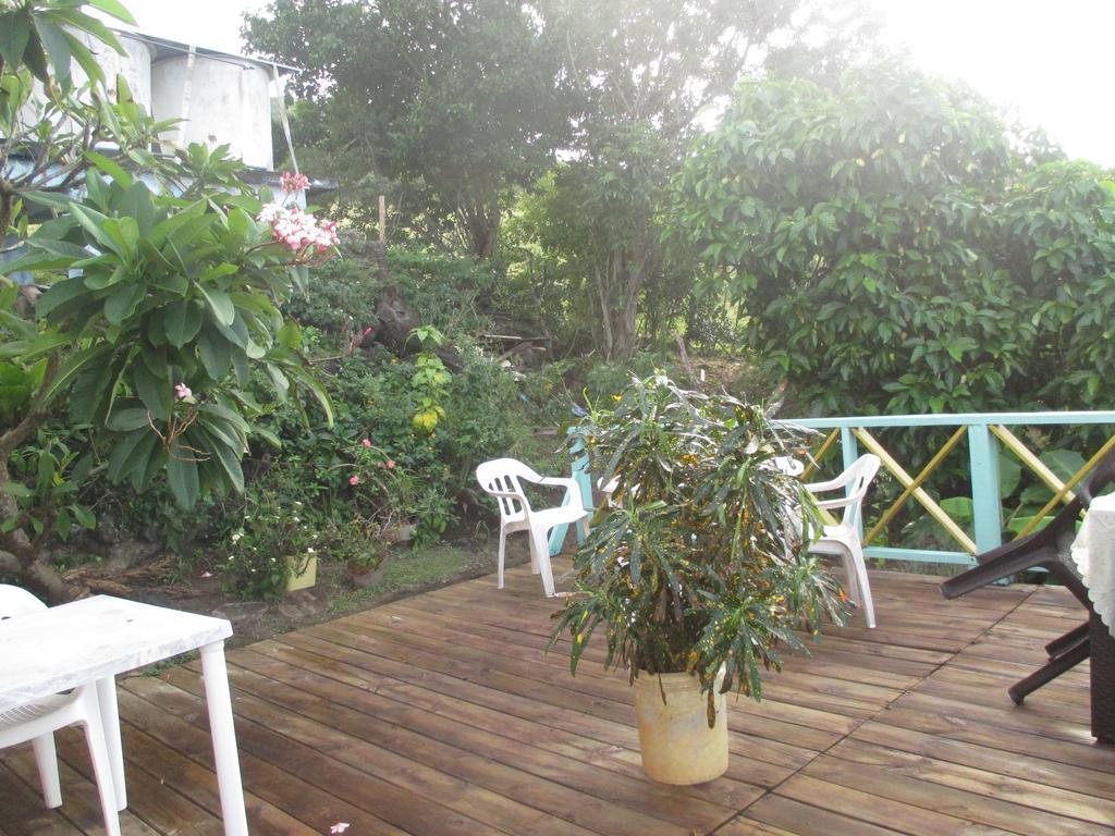 Hotel Flemming Tree Providencia Island Buitenkant foto