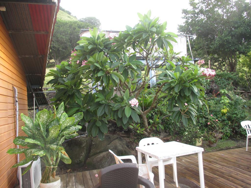 Hotel Flemming Tree Providencia Island Buitenkant foto