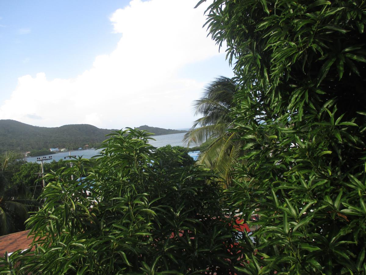 Hotel Flemming Tree Providencia Island Buitenkant foto